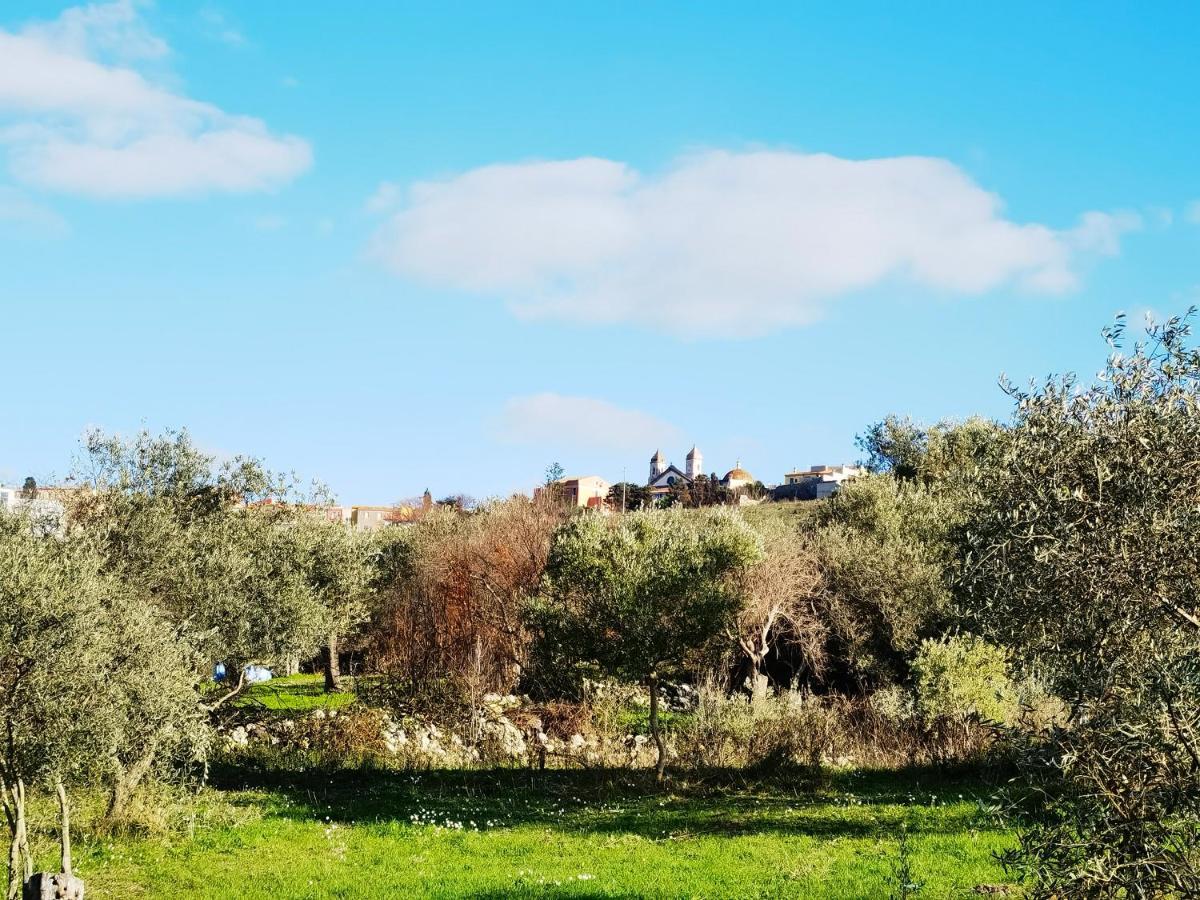 La Corte Degli Ulivi - Albergo Rurale Tresnuraghes Eksteriør bilde